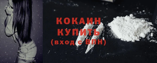 PSILOCYBIN Каменка