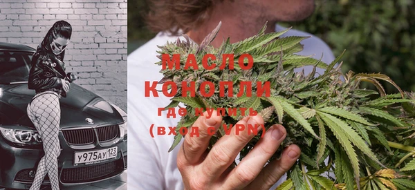 PSILOCYBIN Каменка