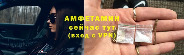 PSILOCYBIN Каменка