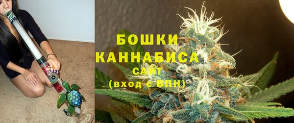 PSILOCYBIN Каменка