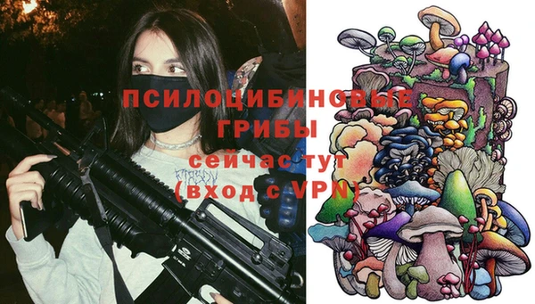 PSILOCYBIN Каменка
