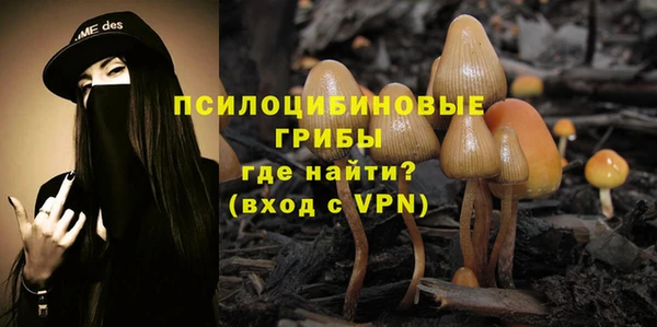 кокс Инта